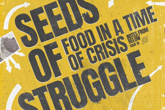 Seeds of Struggle: Food in a Time of Crisis